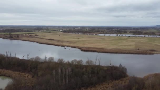 Danube River Idyllic Nature Aerial — Stockvideo
