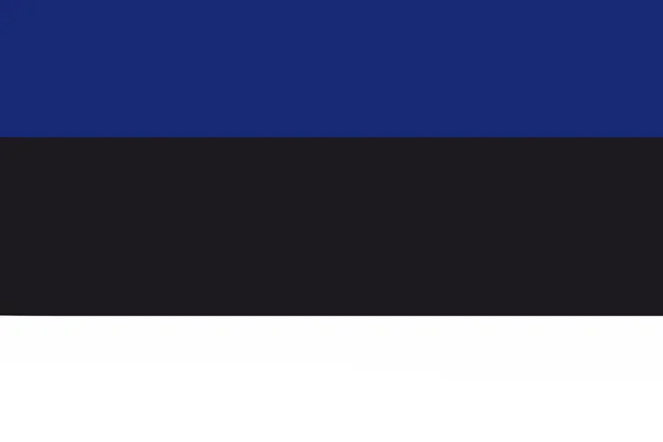 Estlands Flag Vektorillustration Estlands Nationale Flag Officielle Farver - Stock-foto