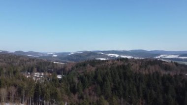 Beautiful view of the forest, mountains and trees