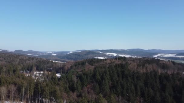 Prachtig Uitzicht Bos Bergen Bomen — Stockvideo