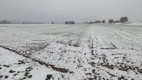 Winterliche Autofahrt Mit Schneebedeckten Feldern — Stockvideo