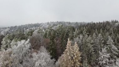 Kışın Bavyera 'da bulutlu yeşil ormanlar ve mavi gökyüzü