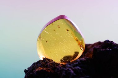 Amber gemstone on pink and blue background. Shallow depth of field                      