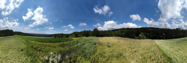 Bavyera ormanının yeşil ağaçlı panoramik manzarası