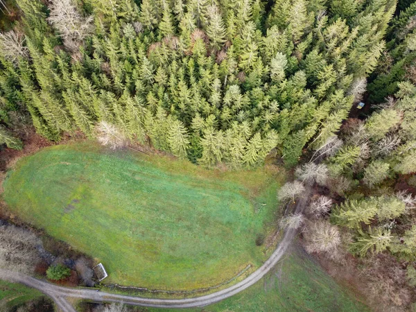 Luftaufnahme Des Waldes Bayern Mit Dichten Nadelbäumen Und Lichtungen Als — Stockfoto