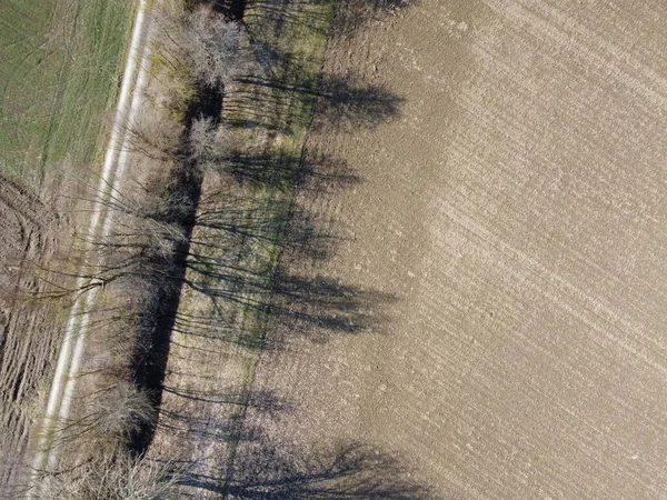 Μεγάλες Σκιές Από Λεωφόρο Φυλλοβόλα Δέντρα Την Άνοιξη Στη Βαυαρία — Φωτογραφία Αρχείου