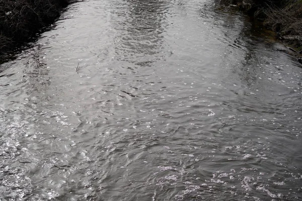 Puro Kirkkaalla Vedellä Elinympäristö Eläimille Kasveille — kuvapankkivalokuva