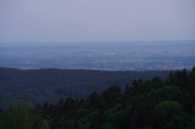 Ormanın güzel manzarası