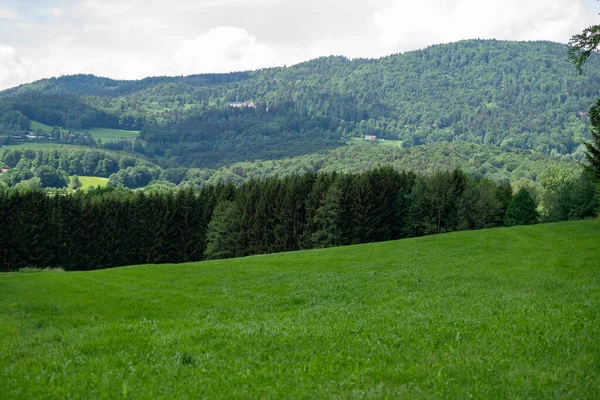 Pohled Vrcholu Zelených Polí Karpatských Horách — Stock fotografie