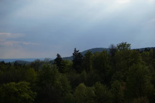 Schöne Landschaft Mit Baum Und Wolkenverhangenem Himmel — Stockfoto