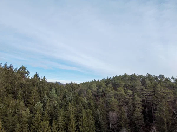 Foto Aérea Floresta Baviera Com Densas Árvores Agulha Clareiras Como — Fotografia de Stock