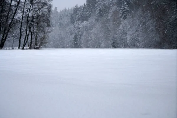 Vintern Med Massor Snö Bayern Vacker Igen Varje — Stockfoto