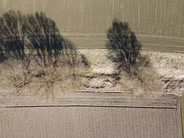 Довгі Тіні Від Авеню Листяних Дерев Весняним Часом Баварії — стокове фото
