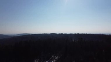 Beautiful view of the forest, mountains and trees