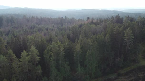 巴伐利亚因气候变化而必须进行的森林砍伐和再造林 — 图库视频影像
