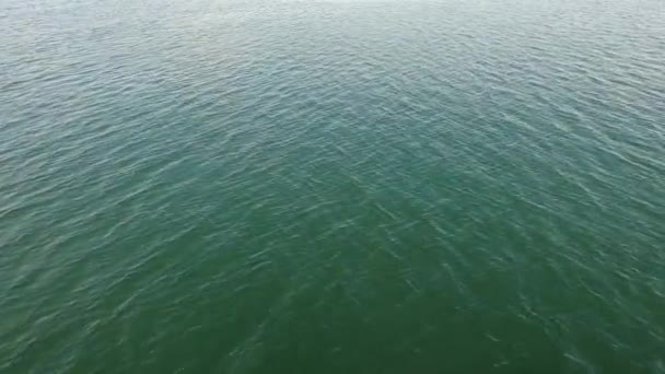 Lago Costanza Una Barca Bandiera Tedesca Escursione Acqua Blu Con — Video Stock