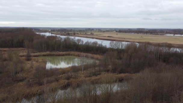 Danube Old Water Water Filled Pools Ponds Nature — Video Stock