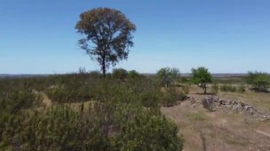 Alantejo 'ya tepeden bakan Algarve' deki Portekiz ülkesi