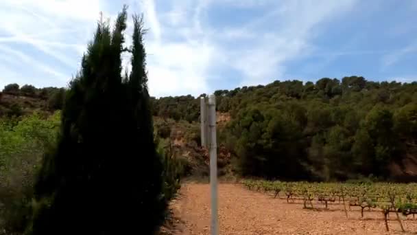 Obszary Rolne Francji Winnicami Drzewami Oliwnymi Oraz Błękitne Niebo Chmurami — Wideo stockowe