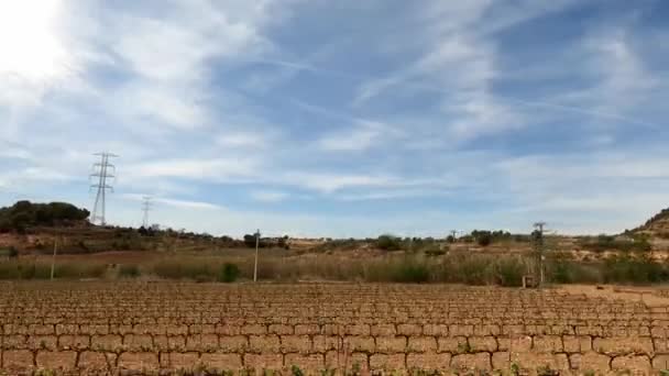 Fransa Üzüm Bağları Zeytin Ağaçları Duvak Bulutlu Mavi Gökyüzü Olan — Stok video
