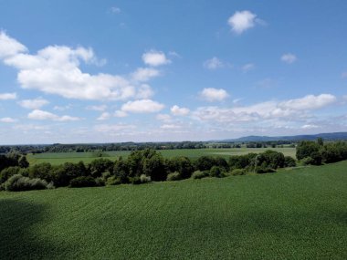 Polonya 'nın kırsal kesiminde mavi gökyüzü olan yeşil çayırlar ve ormanlar..