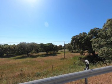 İspanya 'ya yolculuk. 