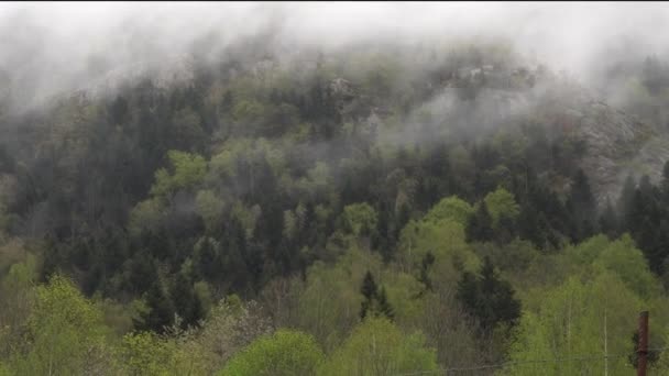 Туман Лісистих Горах Піренеїв Після Дощу — стокове відео