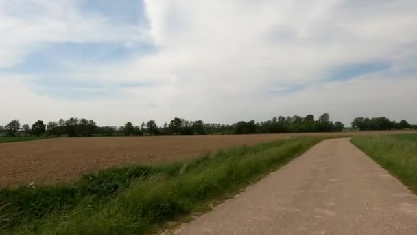 穀物畑の間を自転車で移動し — ストック動画