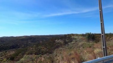 Çam ağaçları, siğil ve mavi gökyüzü olan bir sürü yer.