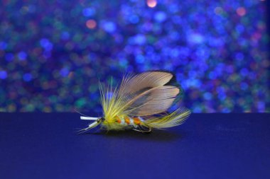 fly for fishing on a background of colored bokeh lights