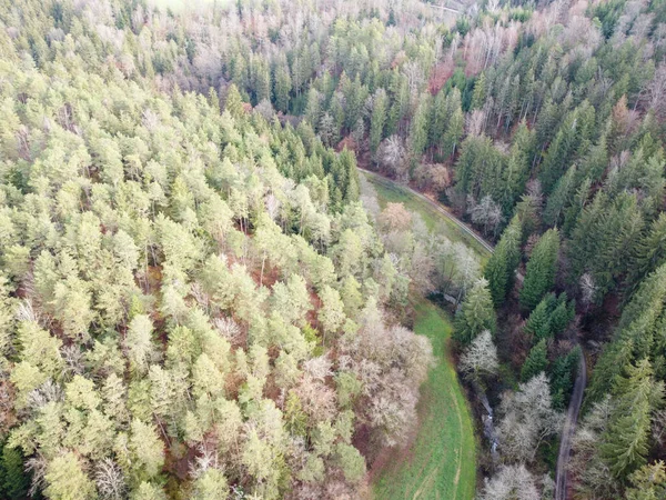 Foto Aérea Floresta Baviera Com Densas Árvores Agulha Clareiras Como — Fotografia de Stock