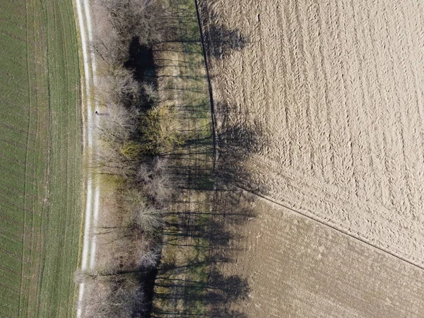 Vidéki Mezőn Erdőn Keresztül Egy Napos Napon Kora Tavasszal — Stock Fotó