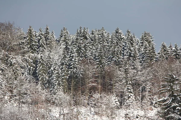 Vintern Med Massor Snö Bayern Vacker Igen Varje — Stockfoto