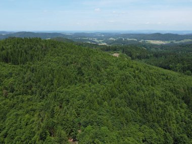 Dağlardaki yeşil orman 