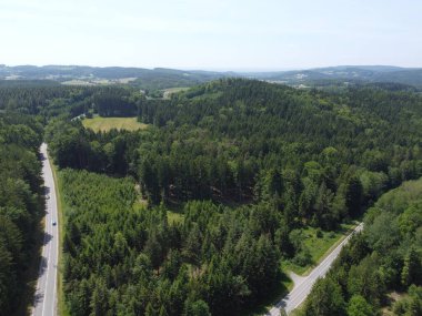 Ormanda ağaçlarla dolu bir yol. 