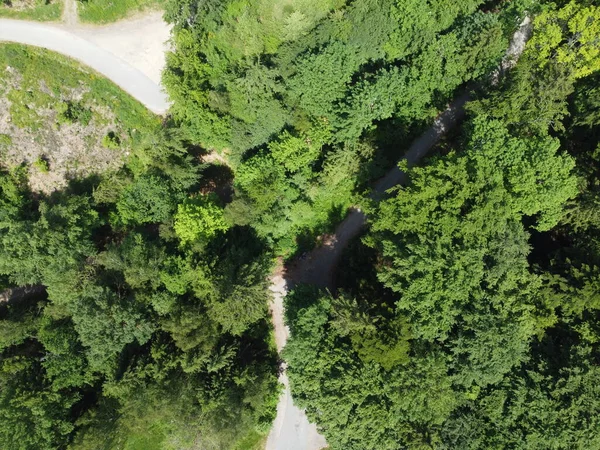 Vanuit Lucht Uitzicht Het Bos Het Bos — Stockfoto
