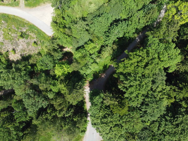 Aerial view of the forest in the forest.