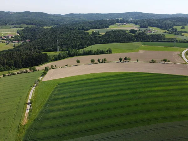 Vista Aérea Sobre Los Campos Con Árboles Verdes — Foto de Stock