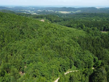 Almanya, Falkenstein yakınlarındaki Bavyera Ormanı 'nın havadan görünüşü.