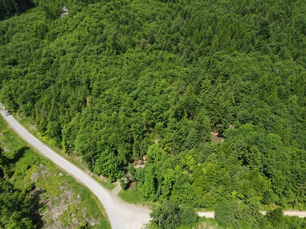 Luchtfoto Van Weg Door Het Groene Bos Drone Fotografie — Stockfoto