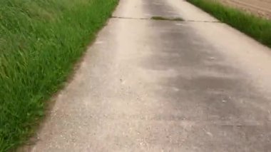 Kırsal kesimde kaldırımlı bir bisiklet yolunda araba sürmek.,