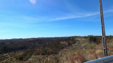 Çam ağaçları, siğil ve mavi gökyüzü olan bir sürü yer.