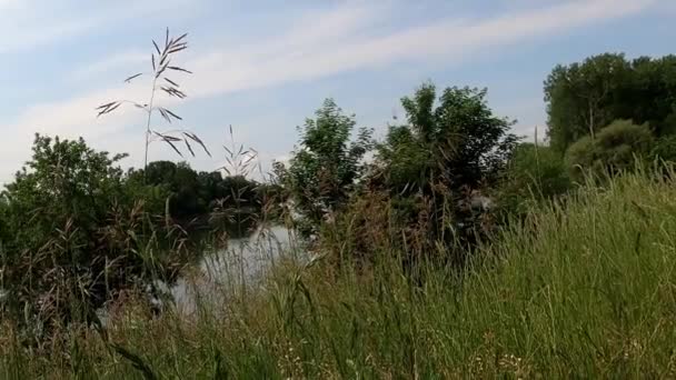 在阳光明媚 乌云密布的日子里 多瑙河两岸长满了绿草 — 图库视频影像