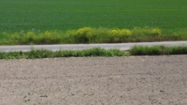 Bavyera 'daki Tuna Vadisi' ndeki iklim değişikliği yüzünden kurumuş tarlalar.