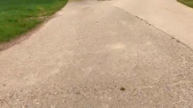 Kırsal kesimde kaldırımlı bir bisiklet yolunda araba sürmek.,