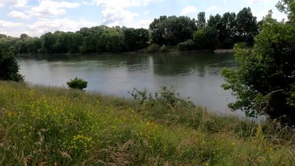 Nubes Sobre Danubio Azul Día Soleado — Vídeo de stock