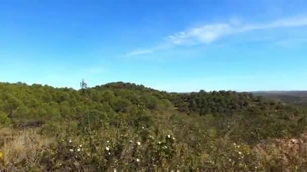 Portugal Landskap Med Tallar Cistus Och Massor Utrymme Med Blå — Stockvideo