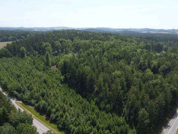 Yeşil Ormandan Geçen Yolun Havadan Görüntüsü Drone Fotoğrafçılığı — Stok fotoğraf