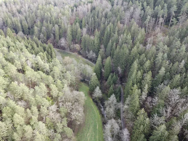 Αεροφωτογραφία Του Δάσους Στη Βαυαρία Πυκνά Βελανιδιές Και Ξέφωτα Πράσινο — Φωτογραφία Αρχείου