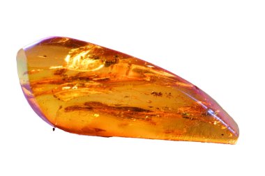 Beyaz Arka Gruba Karşı Farklı Nesneler